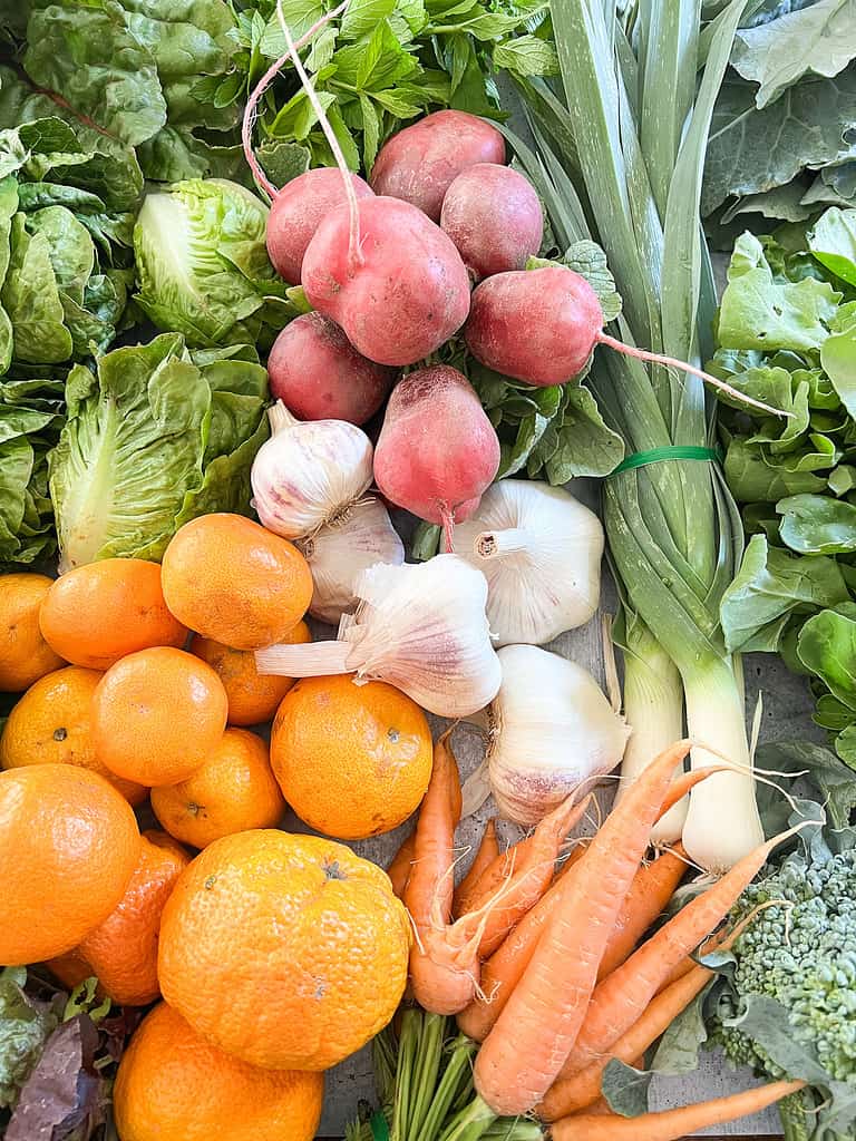 A table of produce for Dinner Plans Week 29 filled with purple garlic, robust radishes, citrus, carrots and leafy greens like arugula, butter lettuce, and beet greens.