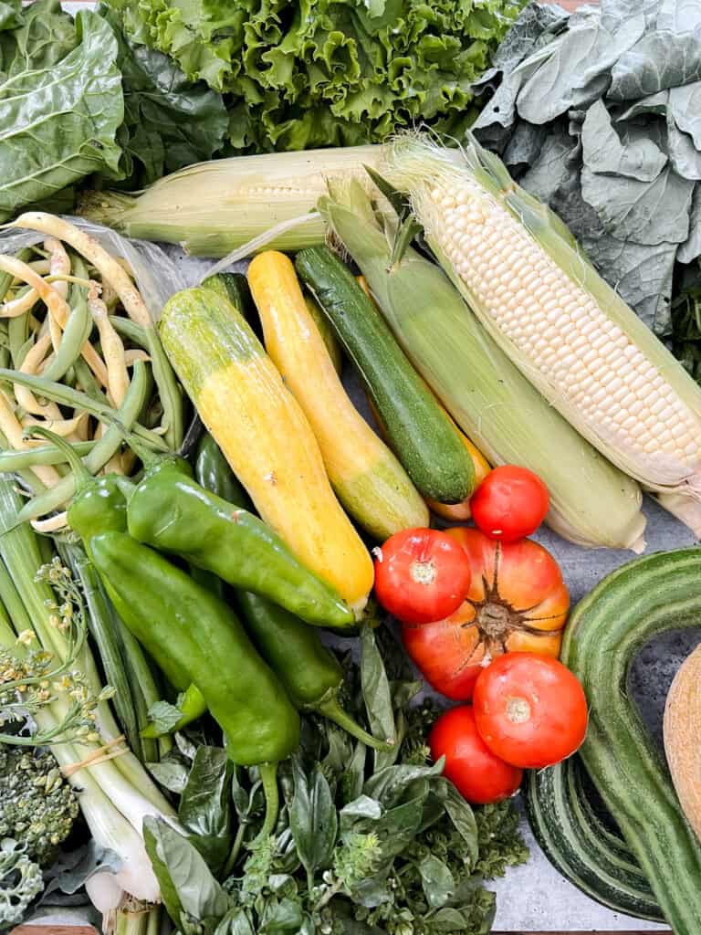 A table of fresh produce is laid out featuring summer squash, sweet corn, peppers, and assorted salad greens.