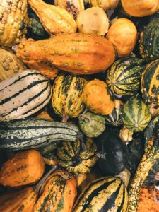 Farmers Market overhead shot of a number of autumn and winter squash varieties.