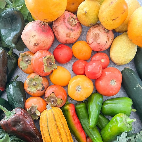 Flatlay image of a table of seasonal produce featuring persimmons, pomegranates, poblano peppers, assorted citrus, and delicata squash.