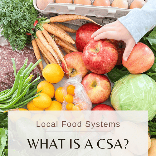 Cover image featuring a toddler hand reaching for a farm fresh apple amidst fall fresh produce. Text box reads: What is a CSA? 3 Reasons to Join One.