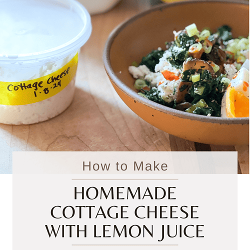 A cover photo that displays a bowl of homemade cottage cheese topped with vegetables and a fried egg. Title text reads: How to Make Homemade Cottage Cheese with Lemon Juice.