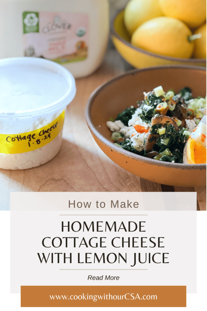 A cover photo that displays a bowl of homemade cottage cheese topped with vegetables and a fried egg. Title text reads: How to Make Homemade Cottage Cheese with Lemon Juice.