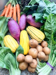 Flatlay photo of late fall early winter produce featuring purple daikon radish, carrots, dandelion greens, braising greens, potatoes, and mei ching choy.