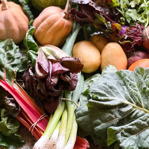 Portrait photo of winter produce for Dinner Plans Week 8 featuring savoy cabbage, lettuce, cauliflower, spring onion, arugula, chard, beets, and potatoes.