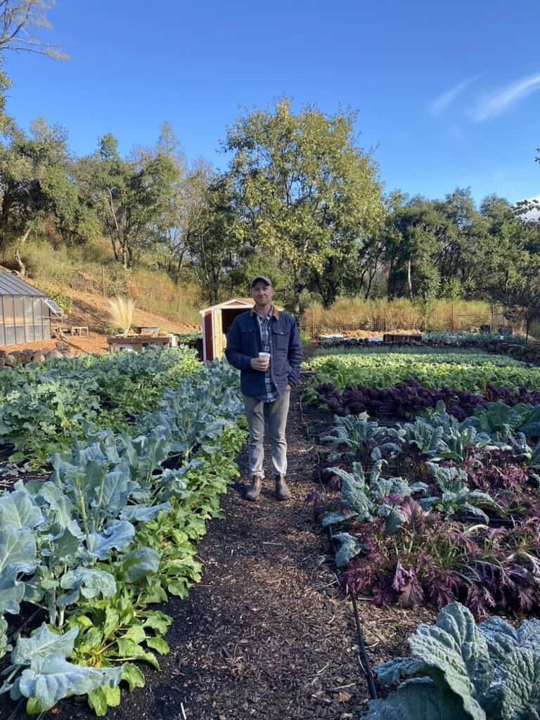 Front facing photo of Patrick, the farmer behind Stepping Stone Farm, standing in a row of winter crops on his farm in Napa, CA.