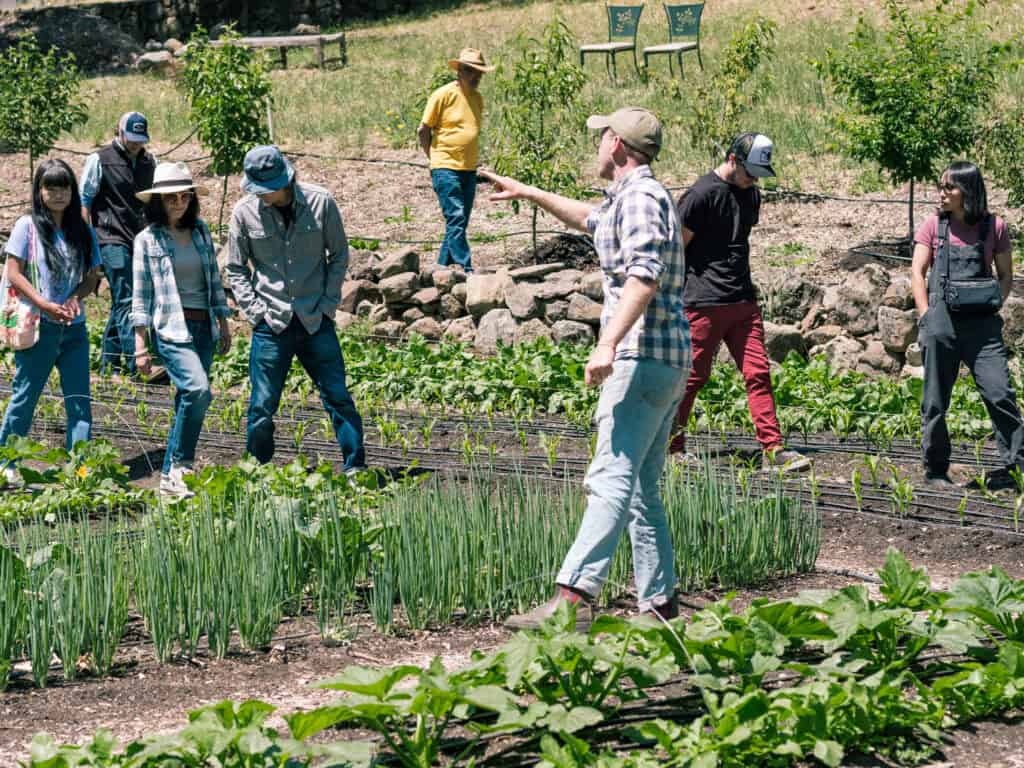 Farmer Patrick taking farm students on a tour of the farm. Several individuals are seen looking at various crops.
