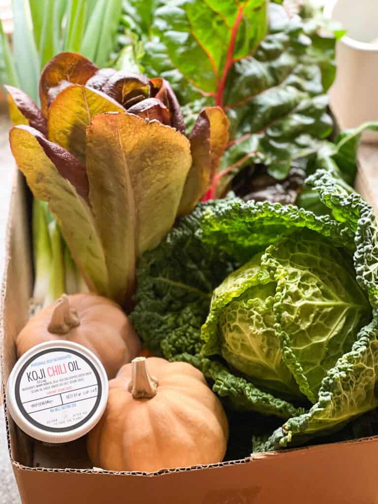 Portrait view of a February 2025 Stepping Stone Farm CSA Box. The box features, lettuce, winter squash, savoy cabbage, Negi, carrots, and a fermented chili oil from Micros Life.