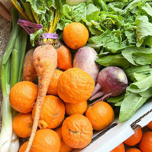 Portrait photo of the Riverdog Farm CSA featuring Napa Rabe, Golden Beets, Daikon, Mandarins, Dandelion Greens, and Spring Onions that inspire the menu for Dinner Plans Week 13.