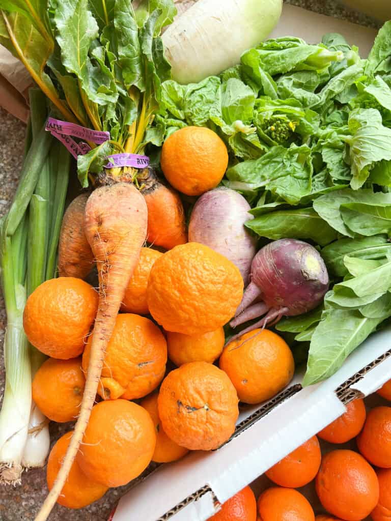 Portrait photo of the Riverdog Farm CSA featuring Napa Rabe, Golden Beets, Daikon, Mandarins, Dandelion Greens, and Spring Onions that inspire the menu for Dinner Plans Week 13.