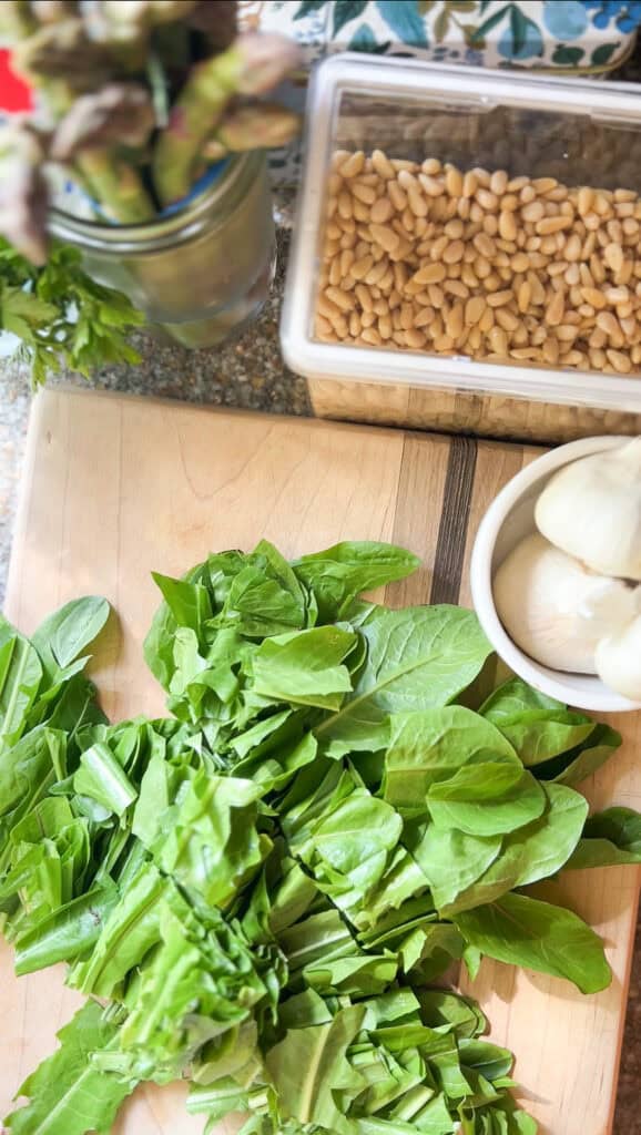 Flatlay photo of untoasted pine nuts alongside chopped dandelion greens in preparation for the Italian Style Dandelion Greens Pesto Recipe.