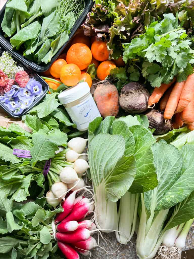 Portrait shot of an abundant spring produce CSA delivery featuring bok choi, breakfast radishes, turnips, carrots, spinach, mandarins, cilantro, lettuce greens, and green garlic.