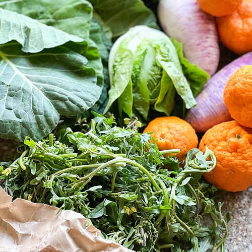 Portrait image of springtime produce for Dinner Plans Week 15 featuring Gold Oak Mandarins, Little Gems, Collard Greens, Daikon Radish, Fresh Oregano, and Rabe.