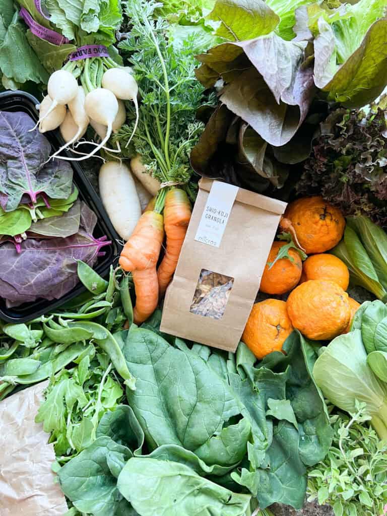 Flatlay of CSA box produce for Dinner Plans Week 20 featuring the last of the overwintered Napoli carrots, mandarins, leafy greens, snow peas, turnips, spinach, and bok choi.