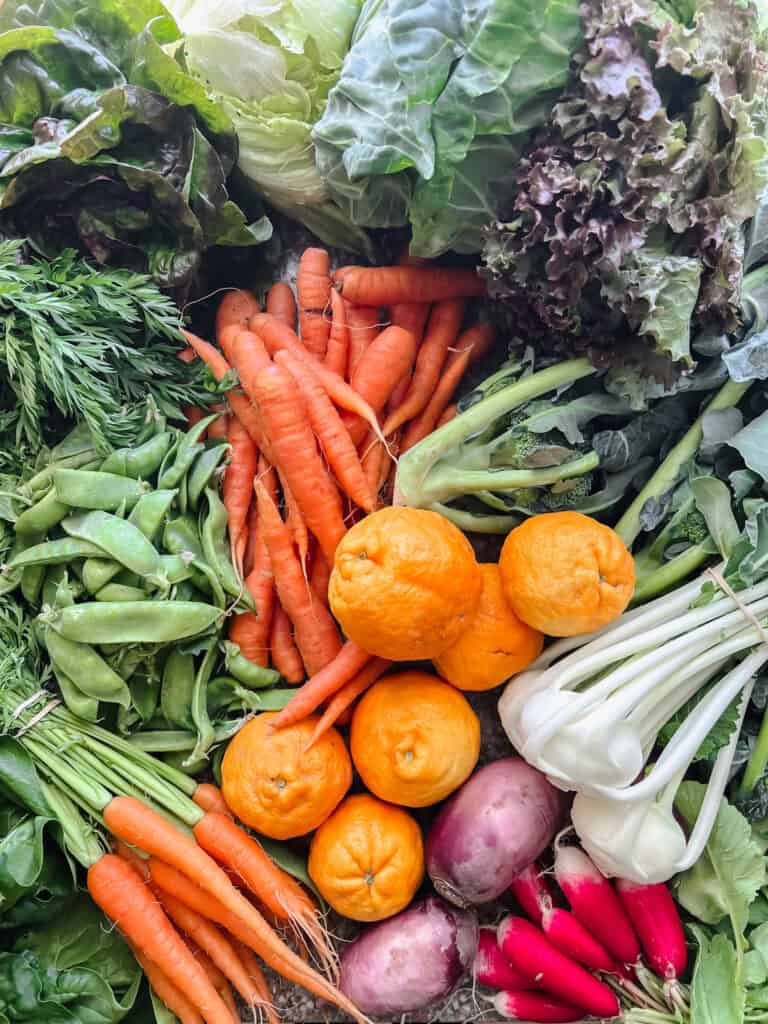 Flatlay photo of late springtime produce for Dinner Plans Week 21 featuring carrots, Gold Oak Mandarins, kholrabi, spinach, leafy greens, radishes, and snow peas.