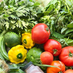 Flatlay photo of summertime produce for Dinner Plans Week 32 featuring tomatoes, summer squash, corn, green beans, shiso, basil, cucumbers.