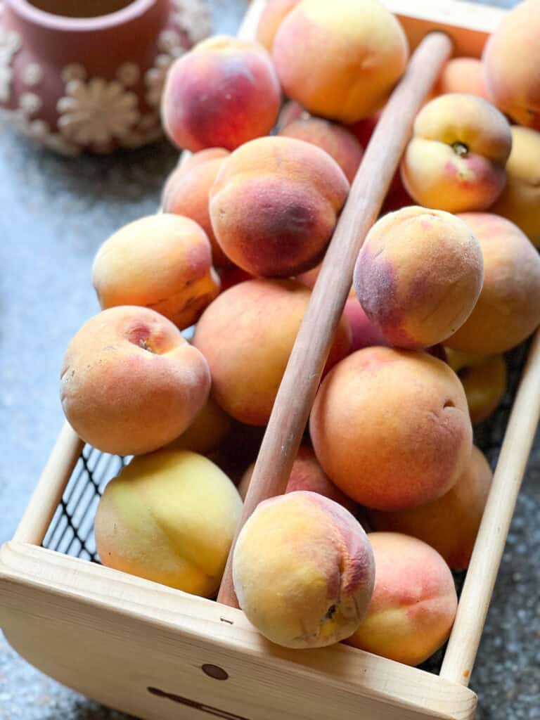 A harvest basket filled with fresh peaches for the Homemade Peach Compote Recipe.