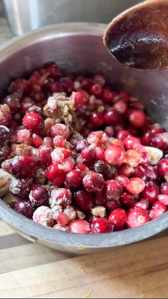 Portrait of Pomegranate Cranberry Sauce before simmering. 