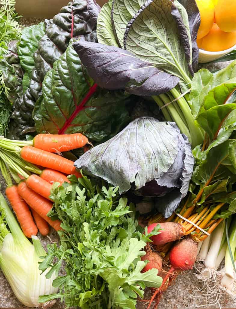 Flatlay photo of Dinner Plans Week 2 featuring chard, pac choi, carrots, cabbage, beets, lemons, and arugula. 