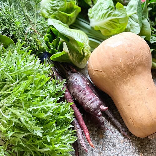 Portrait photo of produce for Dinner Plans Week 15 featuring purple carrots, frisée, little gems, and butternut squash. and chard.