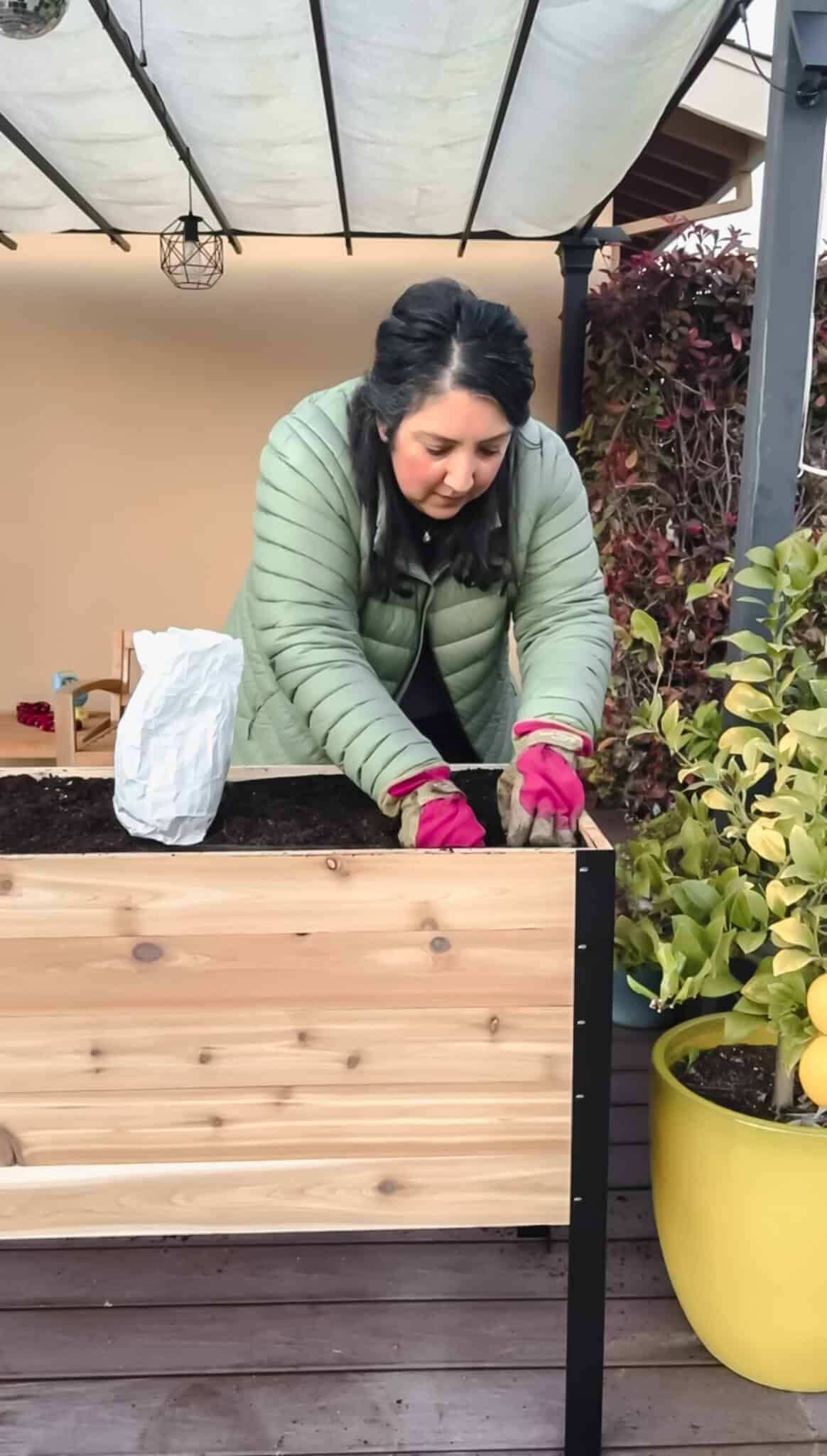 Photo of Frances planting tulip bulbs in the garden bed as part of late autumn garden prep.
